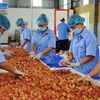 Cultivation law promotes farm produce’s competitiveness