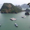 Ha Long Bay’s water under threats