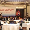 10th CLV Development Triangle Area Summit held in Hanoi