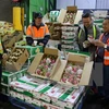 Vietnam’s fruit, vegetable exports up 33.4 percent in Q1