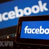 Indonesian parliament demands Facebook hand over audit on data leak