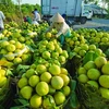 Clean production will help Vietnamese fruit compete with imports
