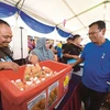 Malaysia steps up urban farming model 