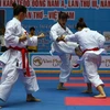 7th Southeast Asia karate champs opens in Bac Ninh province