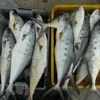 Vietnam works towards sustainable, responsible fisheries