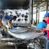 EC delegation to inspect IUU fishing in Vietnam