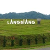 Development plan for Langbiang Biosphere Reserve approved