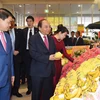 Vietnamese staples to be introduced in Japan