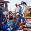 Da Nang increases trace of fishery origins