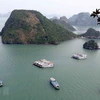 Quang Ninh looks to optimise sea tourism potential 