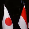 Indonesia, Japan agree to increase aid for Palestinians
