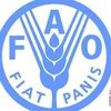Indonesia, FAO renew cooperation in timber trade