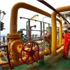 PetroVietnam contributes 1.79 bln USD to State budget in five months