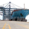 Vietnam National Shipping Lines to hold IPO in August