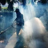 Thailand’s northeast faces risk of dengue fever outbreaks 