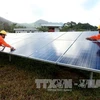 Tay Ninh draws over 14.3 trillion VND in solar power projects