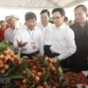 Thanh Ha litchi festival opens in Hai Duong