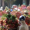 Hai Duong exports about 9,500 tonnes of litchi