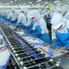 WB: Vietnam’s economy improves further