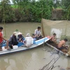 Dong Thap: Fishing in breeding season banned