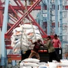 Indonesia’s exports surge in May