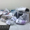 HCM City Customs seize drugs sent from Europe