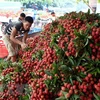 Vietnam’s fruit, veggie exports exceed 2 billion USD in H1