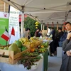 Vietnamese farm produce shines at Rungis International Market