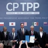 Japan completes domestic procedures to ratify CPTPP