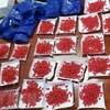 Thanh Hoa police arrest drug traffickers 