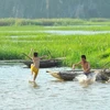 Dong Thap fights child drowning