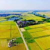 Agricultural land use market needs updated legal framework