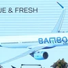 Bamboo Airways given approval for investment