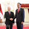 Vietnam, Indonesia eye stronger strategic partnership