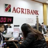 Agribank aims to maintain top commercial bank status 