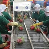 Vietnamese farm produce see big chances in Korean market 