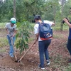 New plants ensures biodiversity in Dong Nai Biosphere Reserve