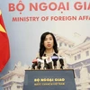Vietnam applauds Russia-US summit: spokesperson 