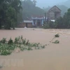 Casualties, missing victims from torrential rains, floods mounts to 63