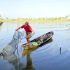 Eco-shrimp farming – model for sustainable aquaculture development