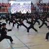 HCM City opens fifth int’l martial arts festival
