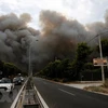 Vietnamese leaders send condolences to Greece over forest fire
