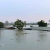 Hanoi moves to address flood impact in suburbs