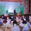 Da Nang hosts Vietnam - Japan cultural exchange festival