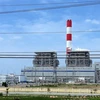 Vinh Tan 1 plant asked to halt pilot run of environment facilities 