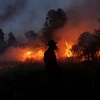 Many wildfire hotspots appear in Indonesia’s Sumatra