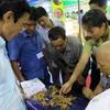 Second Ngoc Linh ginseng festival opens in Quang Nam 
