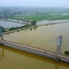 Hanoi mulls mass evacuation due to floods