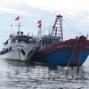 Vietnam pushes drastic measures to fight IUU fishing 