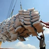 Vietnam’s rice exports on the rise